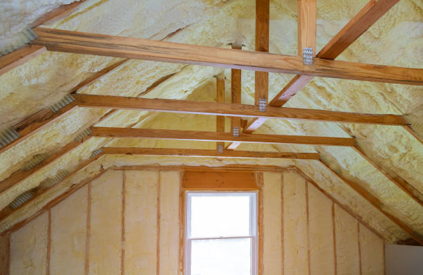Best Attic Insulation Installation  in West Point, NE
