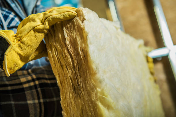 Best Insulation Replacement Services  in West Point, NE