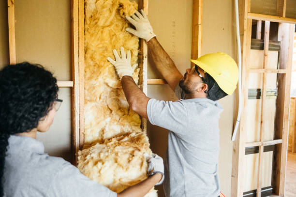 Best Attic Insulation Installation  in West Point, NE