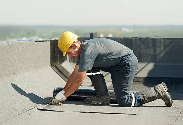 Best Crawl Space Insulation  in West Point, NE