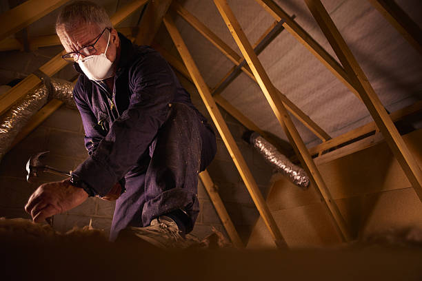 Best Insulation Repair Services  in West Point, NE