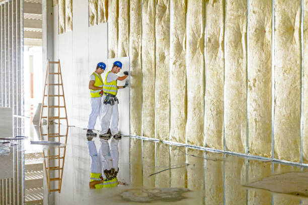 Best Attic Insulation Installation  in West Point, NE